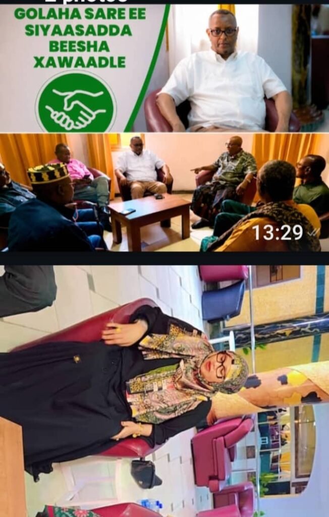 Golaha Sare ee Siyaasadda Beesha Xawaadle iyo Odayaasha Dhaqanka Beesha Cali Madaxweyne ayaa maanta kulan ku yeeshay Muqdisho hotel dorbin.
